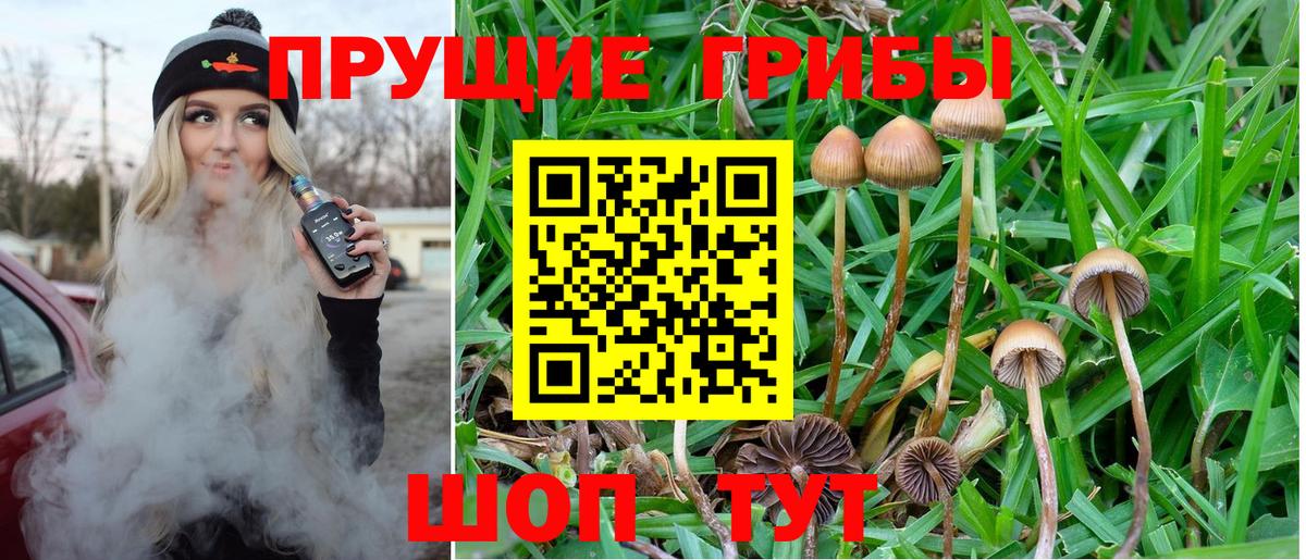 Псилоцибиновые грибы мицелий  как найти закладки  Бутурлиновка  Псилоцибиновые грибы Cubensis  Вход с VPN 