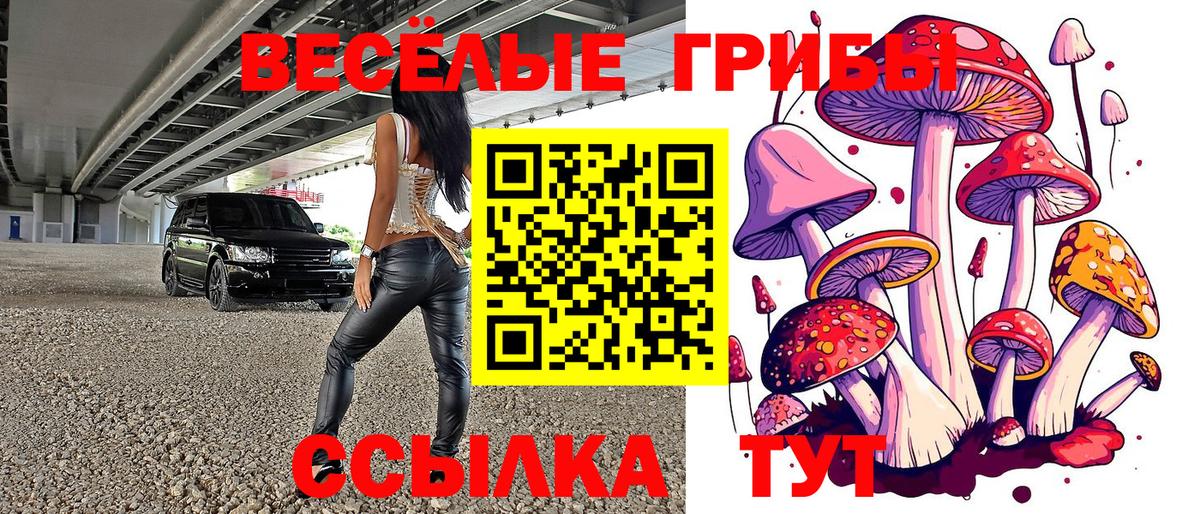 Галлюциногенные грибы Psilocybine cubensis Бутурлиновка